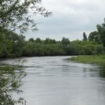 Spływ kajakowy Wieprzem Tarnogóra Krasnystaw