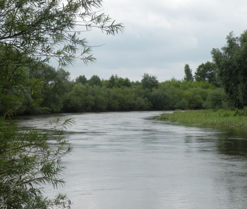 Spływ kajakowy Wieprzem Tarnogóra Krasnystaw