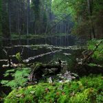 Roztoczański Park Krajobrazowy