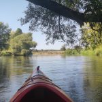 Spływ kajakowy Wieprzem Tarnogóra Krasnystaw