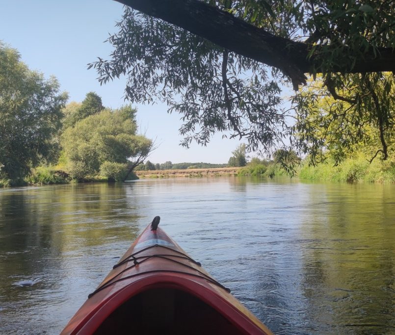 Spływ kajakowy Wieprzem Tarnogóra Krasnystaw