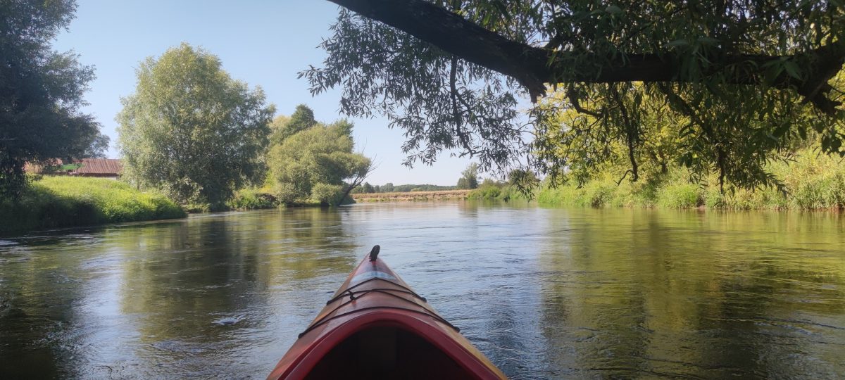 Spływ kajakowy Wieprzem Tarnogóra Krasnystaw