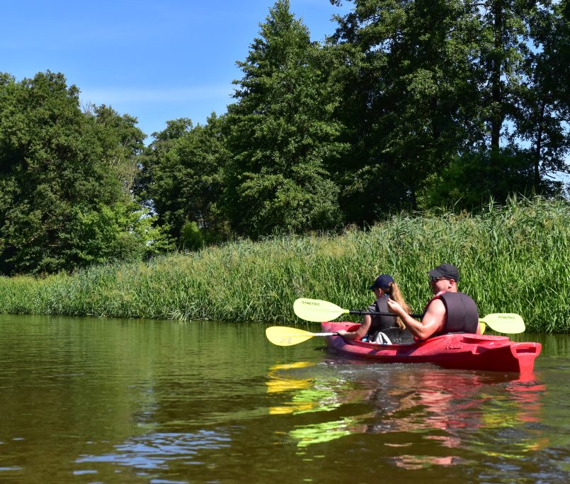 spływ kajakowy wieprzem