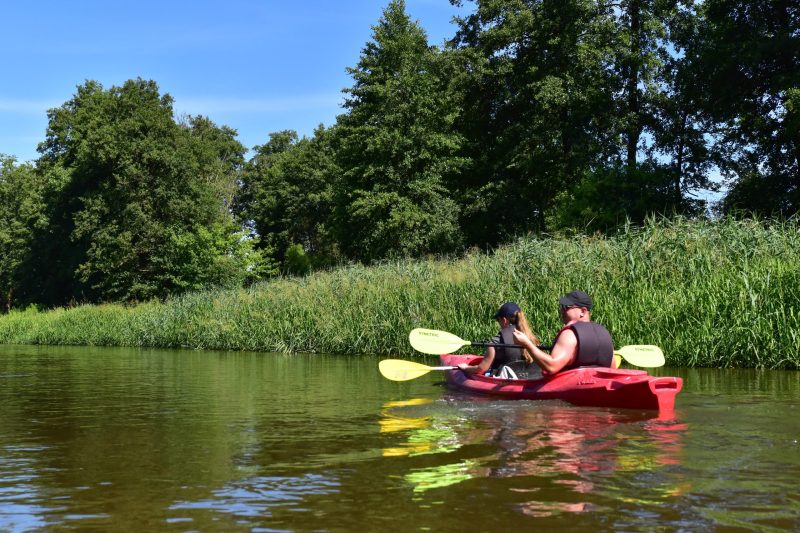 spływ kajakowy wieprzem