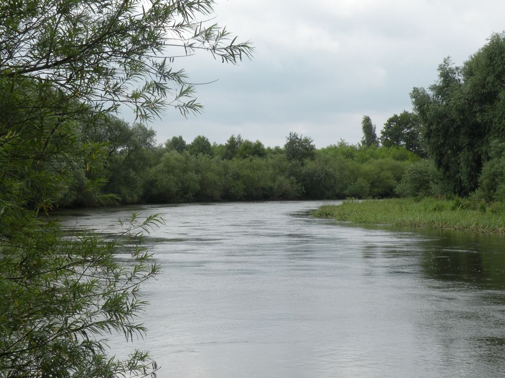 Pradolina Wieprza – spływ kajakowy Krasnystaw–Stężyca